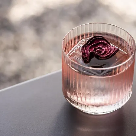 Zeus Is Loose Hostel