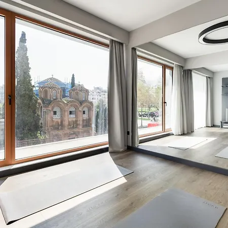 Albergue Zeus Is Loose *