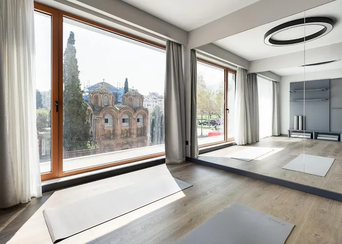 Albergue Zeus Is Loose *