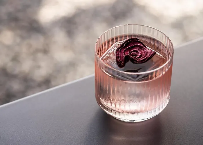 Zeus Is Loose Hostal